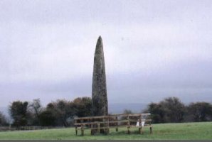 Punchestown Standing Stone - Picture courtesy of www.megalithomania.com