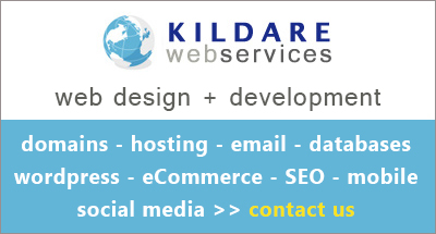 Kildare Web Services Advert 001