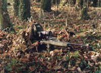 ARW Sniper in Cover 