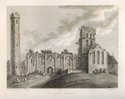 Kildare Abbey - CLICK TO ENLARGE