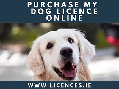 Dog Licence Reminder from Kildare Dog Wardens