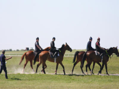 Applications Open for Exercise Rider Training Course