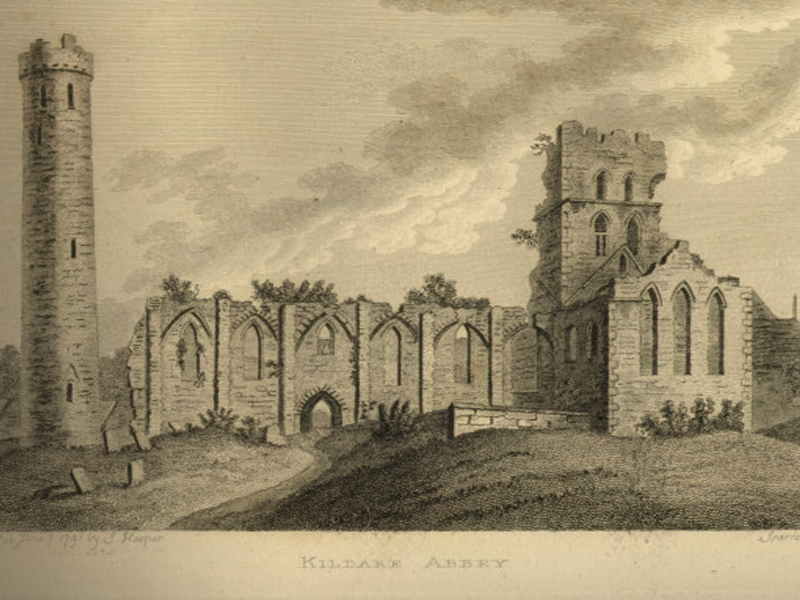 Groses's Antiquities of Ireland: Kildare Cathedral 1791