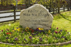 AR-Welcome-Stone-Sallins-Road-01